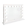 Starlight® Pro Vanity Mirror