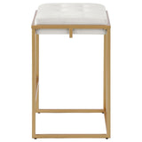 Nadia Square Padded Seat Counter Height Stool (Set Of 2) Beige And Gold