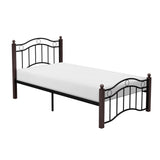 Averny Black/Brown Twin Metal Platfom Bed