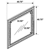 Leighton Beveled Mirror Metallic Mercury