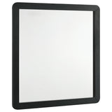 Cavelle Black Dresser Mirror Black