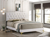 Kendall Tufted Upholstered Panel Queen Bed White