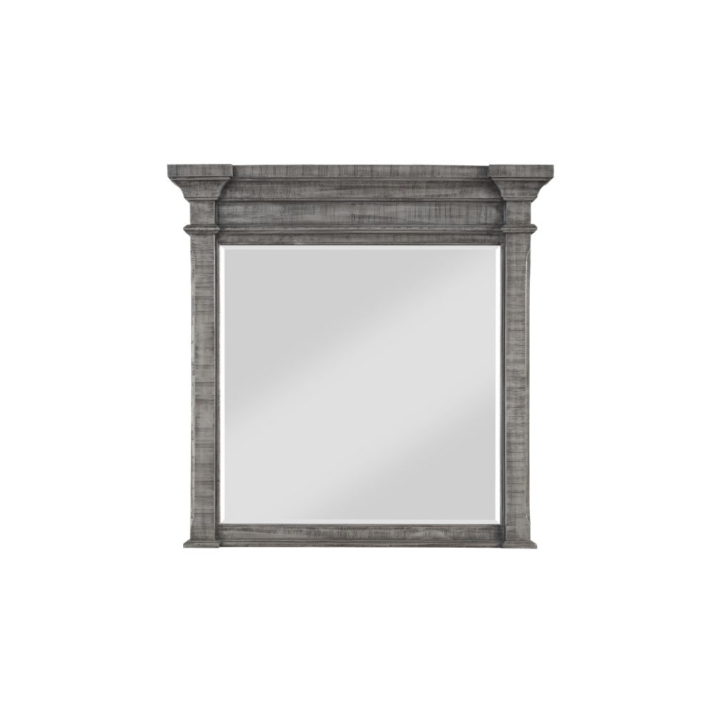 Artesia Salvaged Natural Finish Mirror