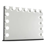 Hollywood Premiere Pro Vanity Mirror