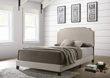 Tamarac Upholstered Nailhead Eastern King Bed Beige