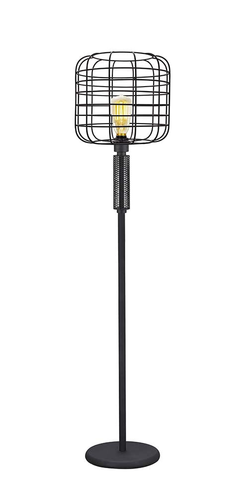 Marek Black Finish Floor Lamp