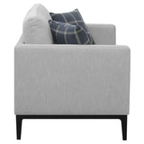 Apperson Light Grey 2-Piece Upholstered Track Arm Sofa Set