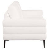 Jessel Ivory 2-Piece Chenille Upholstered Sofa Set