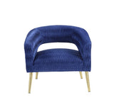 Aistil Blue Velvet & Gold Finish Accent Chair