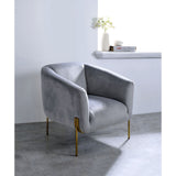 Carlson Gray Velvet & Gold Finish Accent Chair