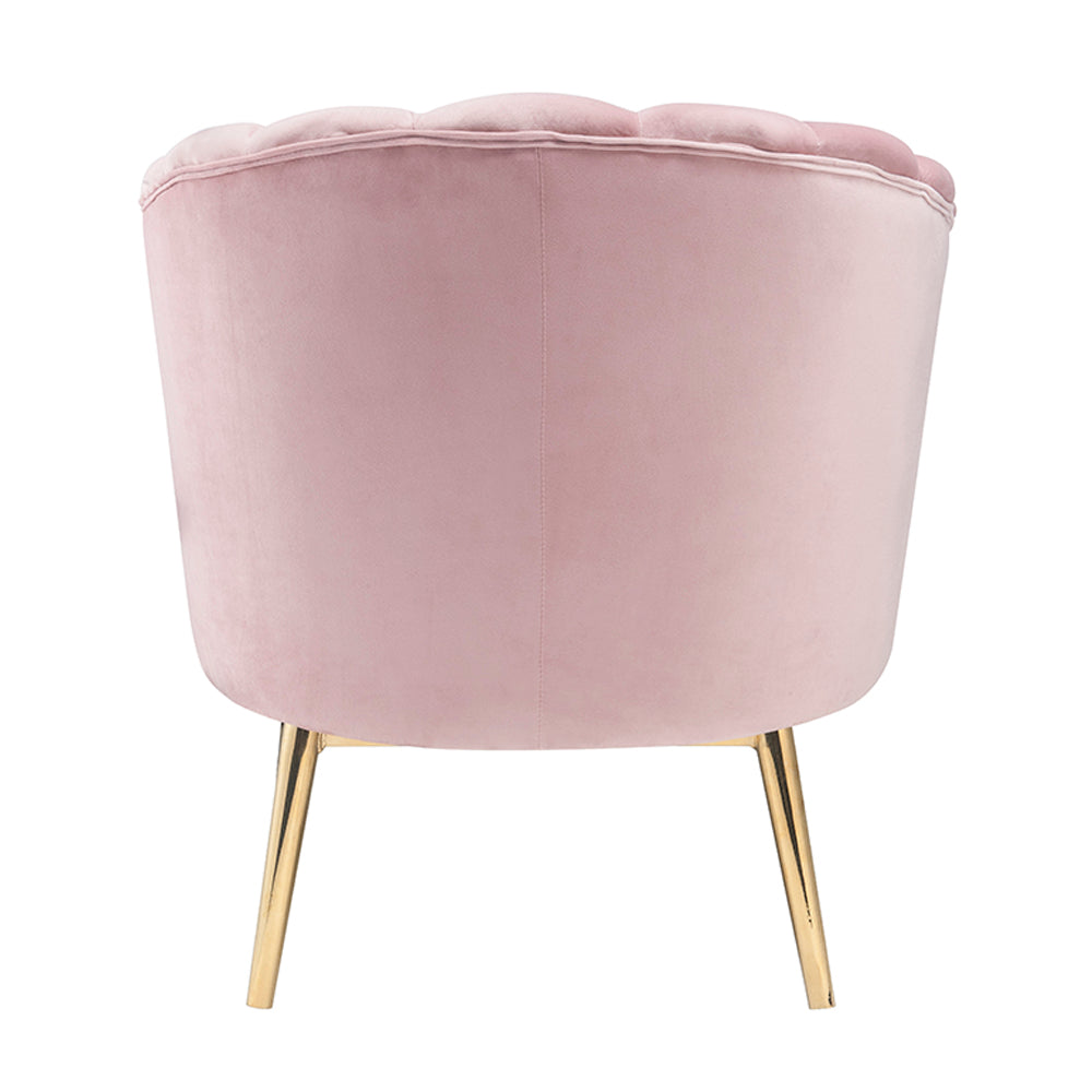 Colla Blush Pink Velvet & Gold Finish Accent Chair