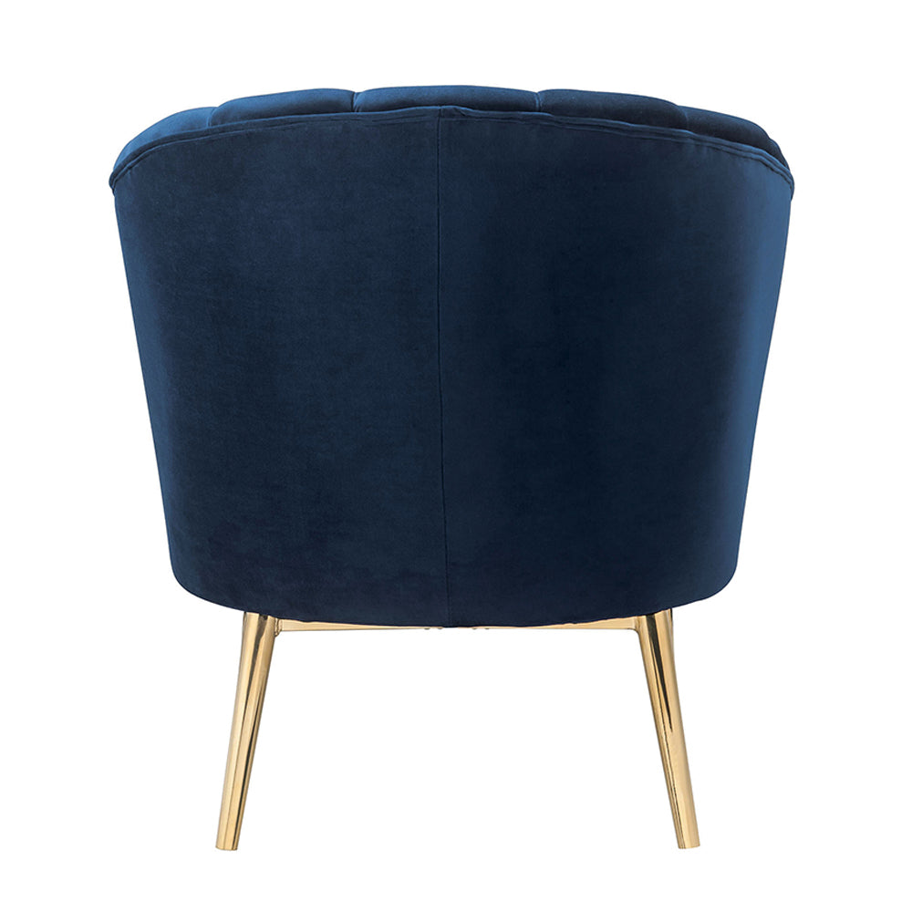 Colla Midnight Blue Velvet & Gold Finish Accent Chair