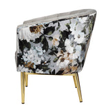 Colla Gray Velvet & Gold Finish Accent Chair