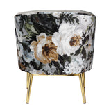 Colla Gray Velvet & Gold Finish Accent Chair