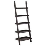 Colella Cappuccino 3-Piece Storage Ladder Bookshelf Set