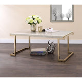 Boice Faux Marble Top & Champagne Finish Ii Coffee Table