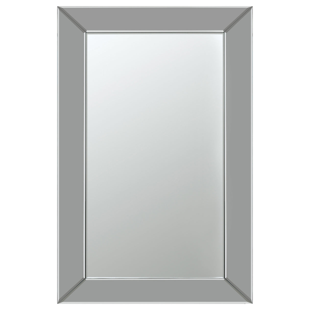 Pinciotti Rectangular Beveled Wall Mirror Silver