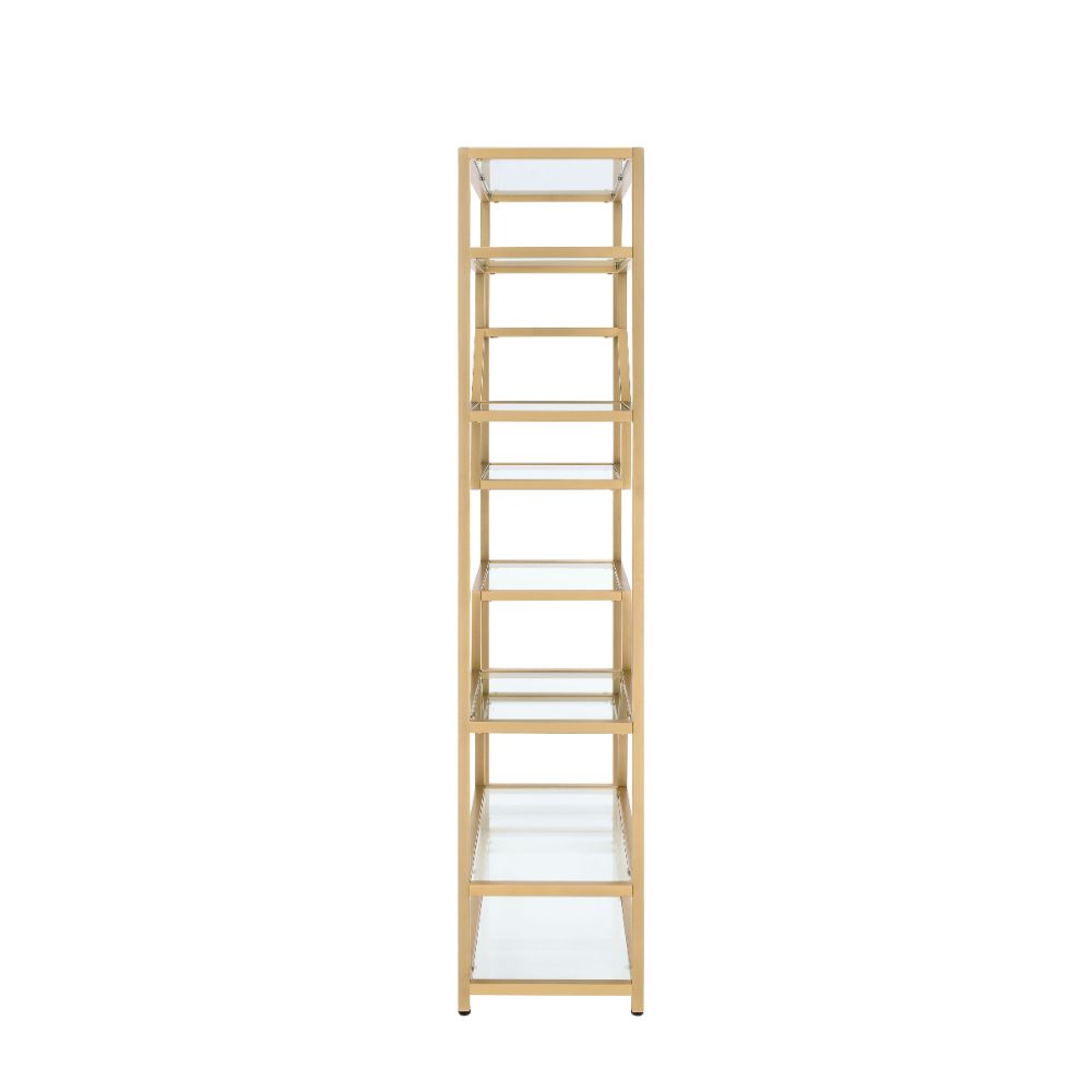 Lecanga Clear Glass & Gold Finish Bookshelf