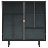 Dalia 2-door Accent Storage Cabinet with Shelving Black