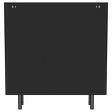 Dalia 2-door Accent Storage Cabinet with Shelving Black