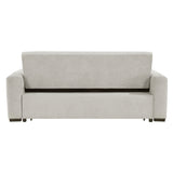 Michah Convertible Sofa With Pull-Out Bed