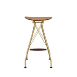 Dragea Whiskey Synthetic Leather & Gold Finish Bar Stool (Set-2)