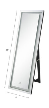 Nyoka Mirrored Floor Mirror