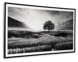 Deborland Black/White Wall Art