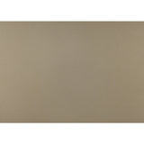 Loudon Champagne Metallic Youth Mirror (Mirror Only)