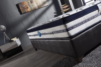 Biorythmic Sleep Eurotop King Mattress