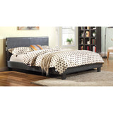 Evans Queen Bed