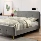 Barney Queen Bed