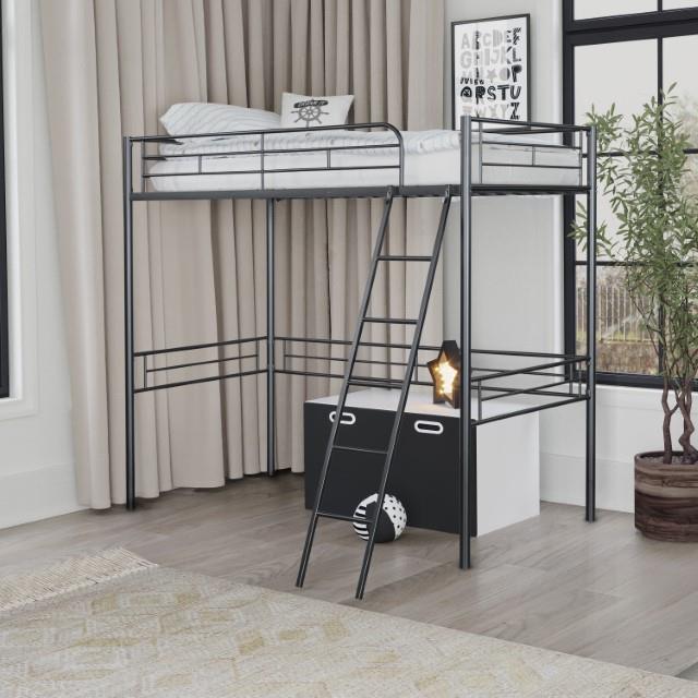 Myles Contemporary Bunk Bed