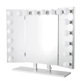 Trifecta Pro Vanity Mirror