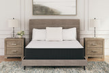 Limited White Edition Plush Twin Mattress