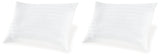 Zephyr White 2.0 Cotton Pillow (Set Of 2)