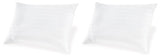 Zephyr White 2.0 Cotton Pillow (Set Of 2)