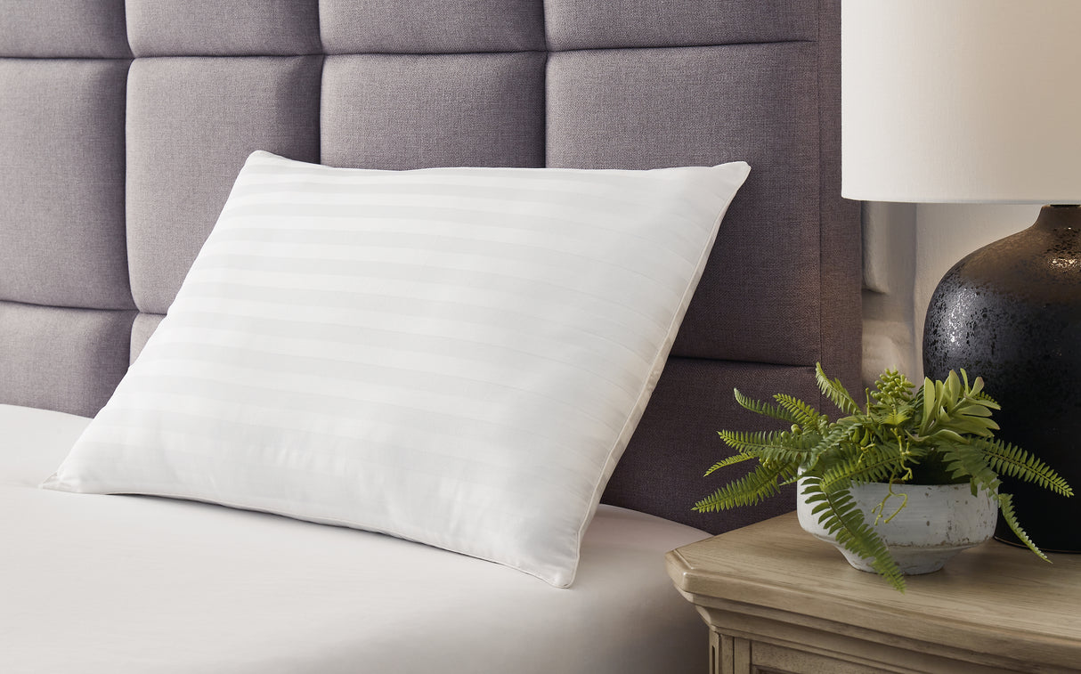 Zephyr White 2.0 Cotton Pillow (Set Of 2)