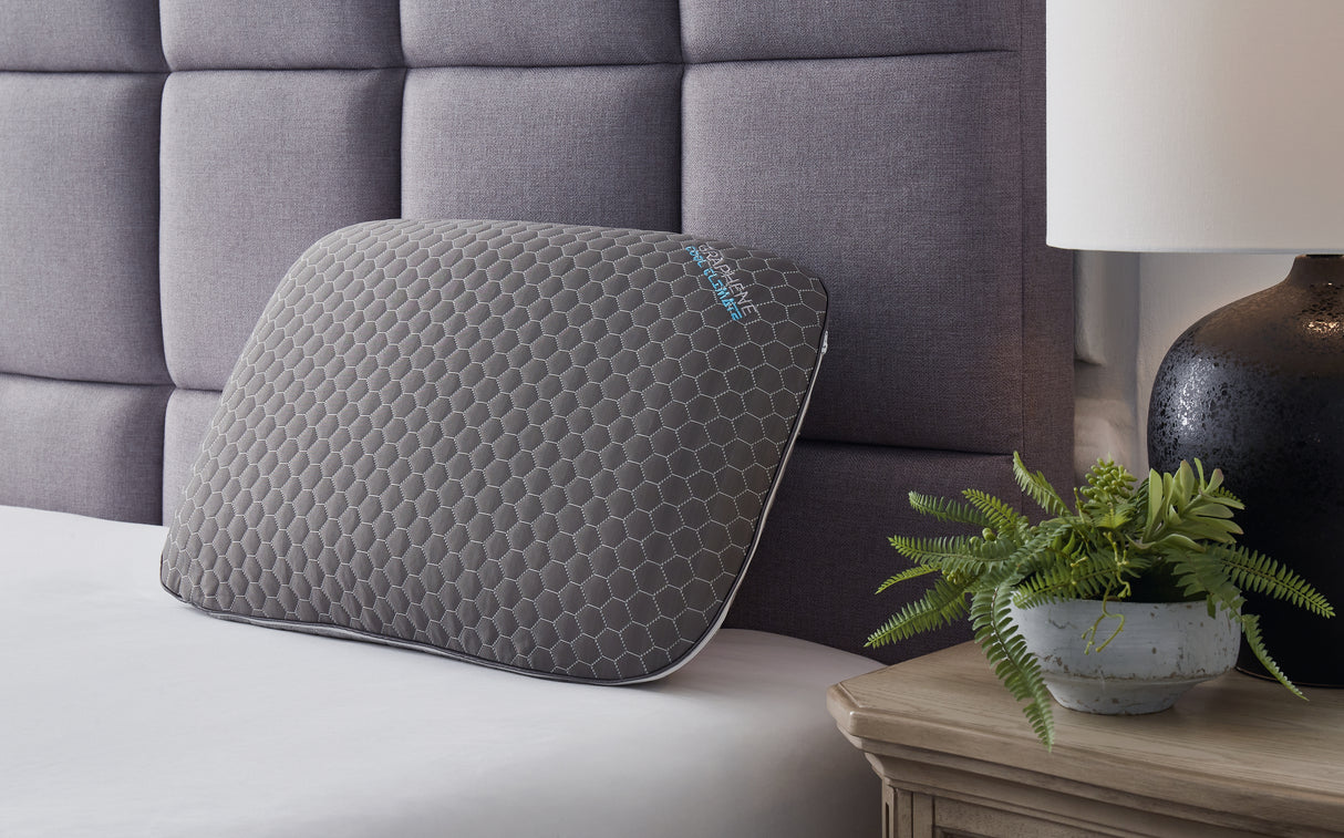 Zephyr Dark Gray 2.0 Graphene Contour Pillow