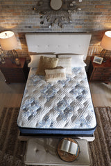 Mt White Dana Euro Top California King Mattress