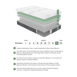 Findlay 12" Twin Green Tea Gel-Infused Memory Foam Hybrid Mattress