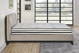 Vela 12" Eastern King Hybrid Mattress