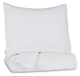 Ryter White Twin Coverlet Set