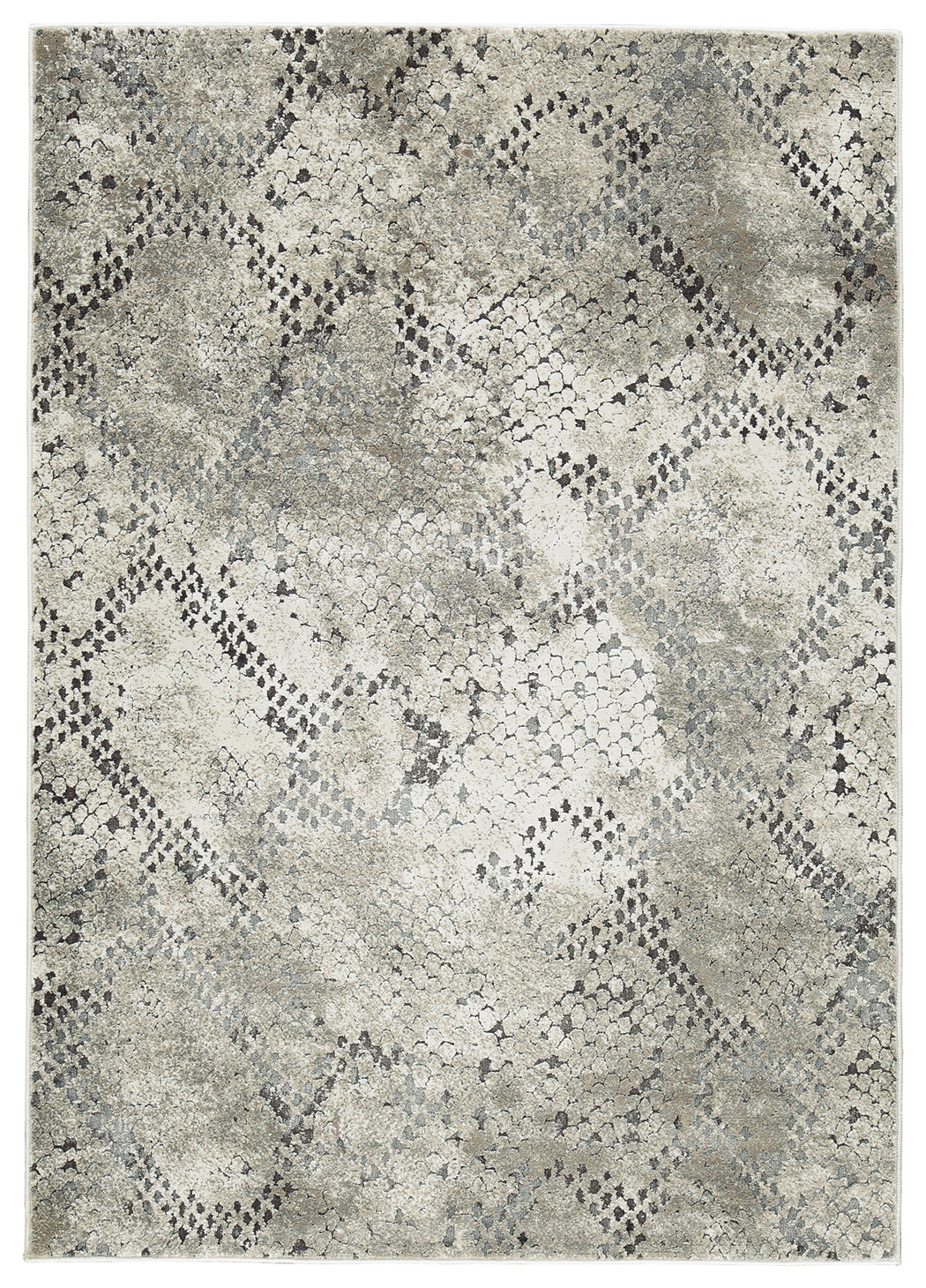 Poincilana Multi 5' X 7' Rug