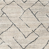 Ashbertly Gray/Cream 5' X 7'6" Rug