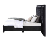 Damazy Black Velvet Eastern King Bed