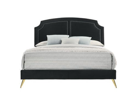 Zeena Black Velvet Eastern King Bed