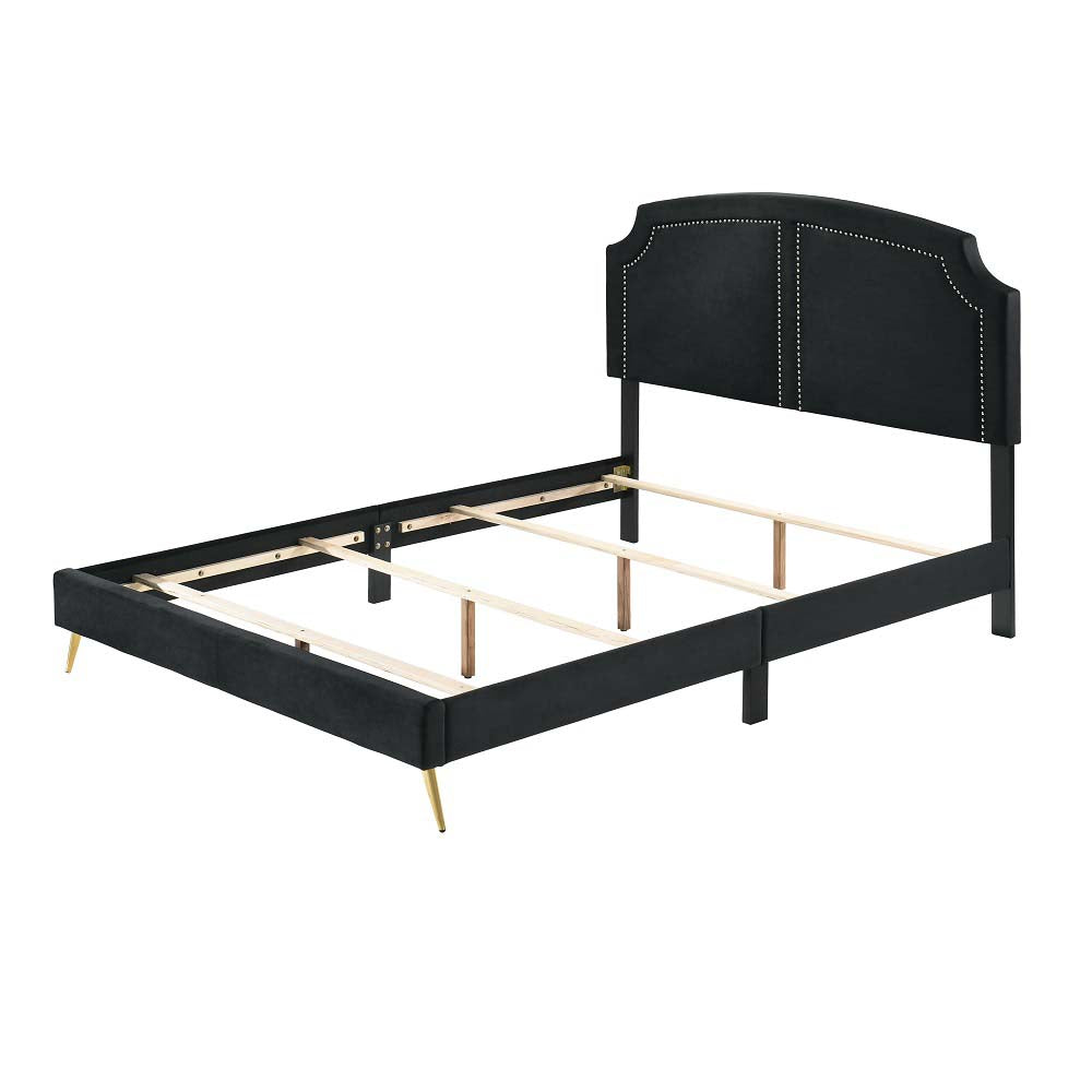 Zeena Black Velvet Full Bed