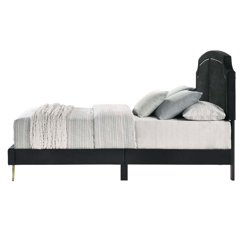 Zeena Black Velvet Full Bed