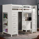 Cassidy Twin Loft Bed